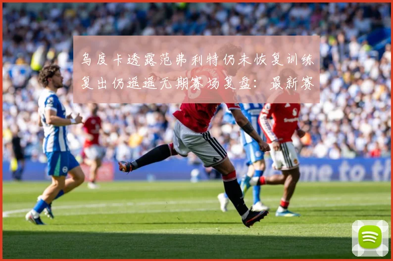 乌度卡透露范弗利特仍未恢复训练复出仍遥遥无期赛场复盘：最新赛事动态与深度分析